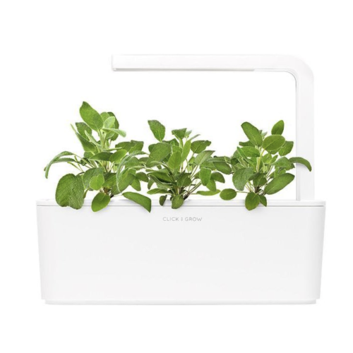 Click and Grow Smart Garden Refill 3-pack -Garden Sage