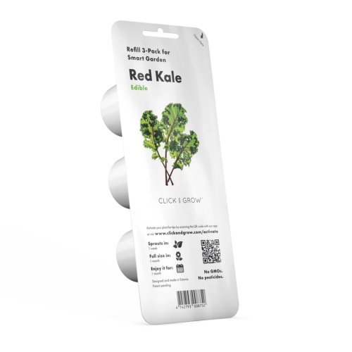 Smart Garden Refill Red Kale