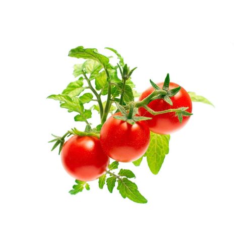 Click and Grow Smart Garden Refill 3-pack - Mini Tomatoes