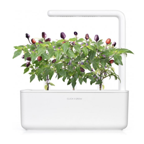 Click and Grow Smart Garden Refill 3-pack - Purple Chilli